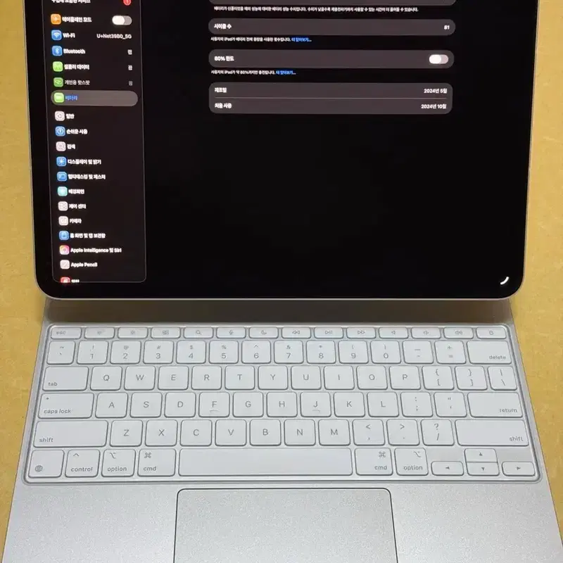 아이패드 프로 M4 13인치 256GB 셀룰러