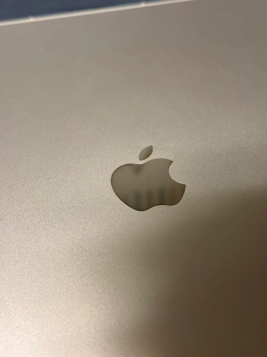 아이패드 프로 M4 13인치 256GB 셀룰러
