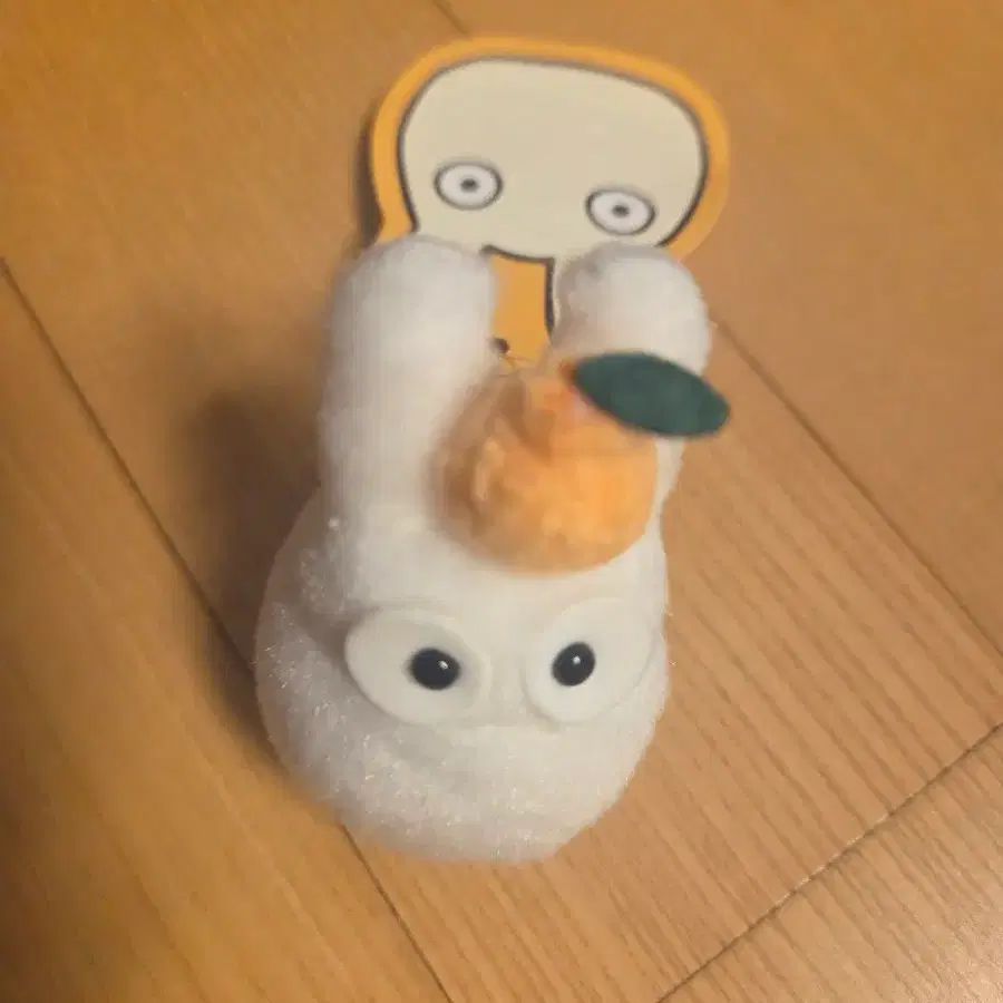 제주 도토리숲 토토로 한라봉