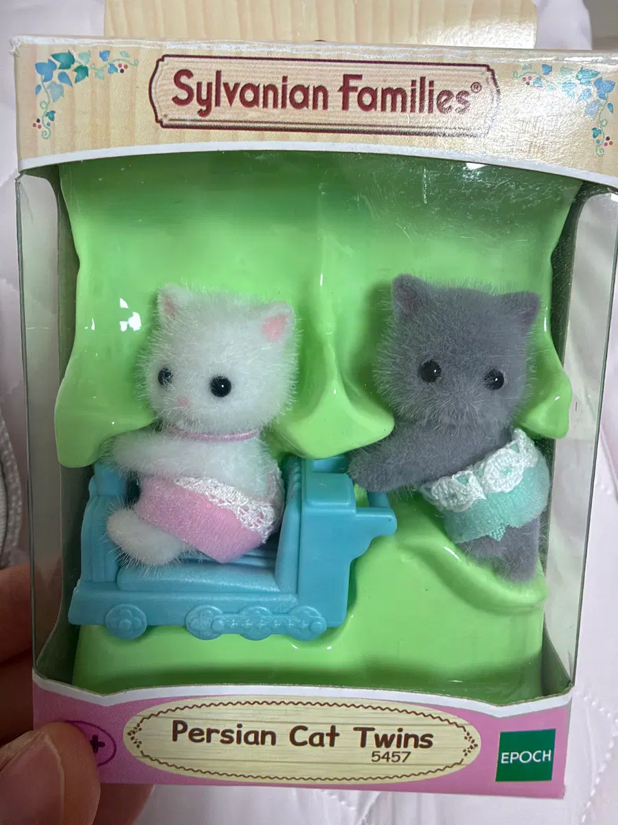 실바니안 쌍둥이 아기고양이