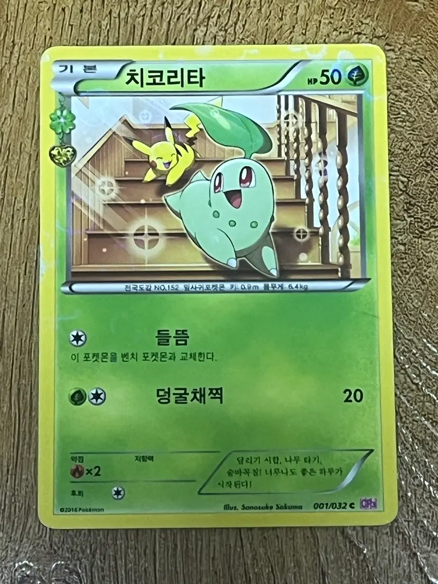 치코리타 카드 팔아요