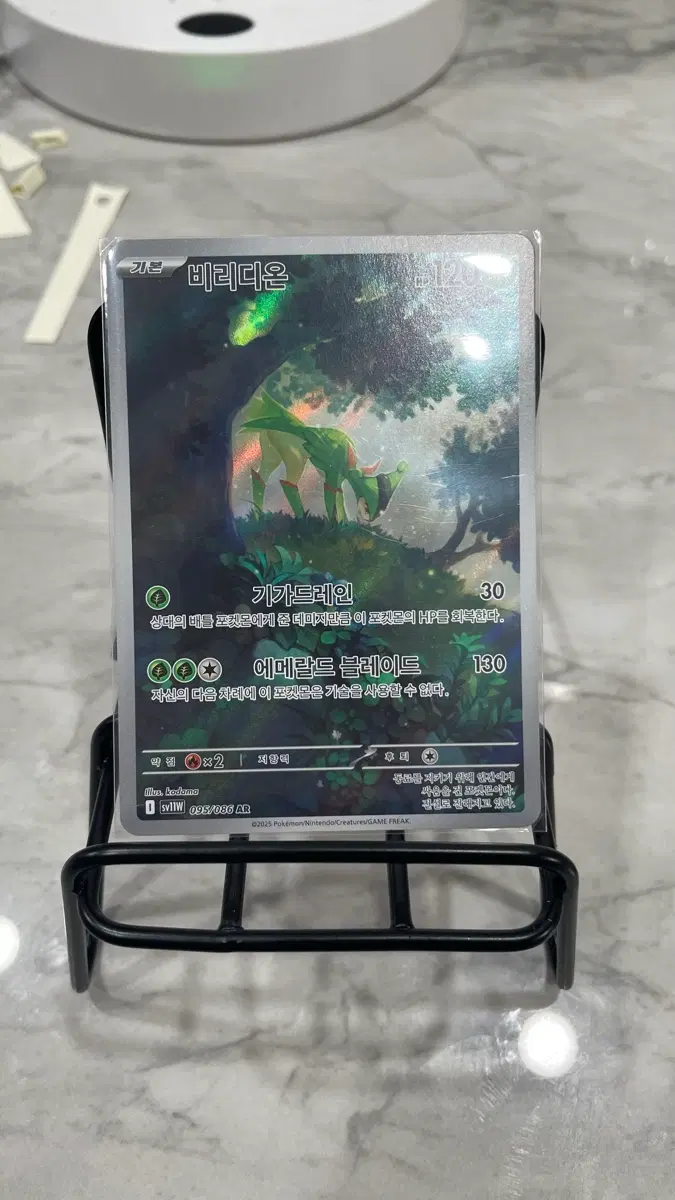 포켓몬 카드 비리디온 ar