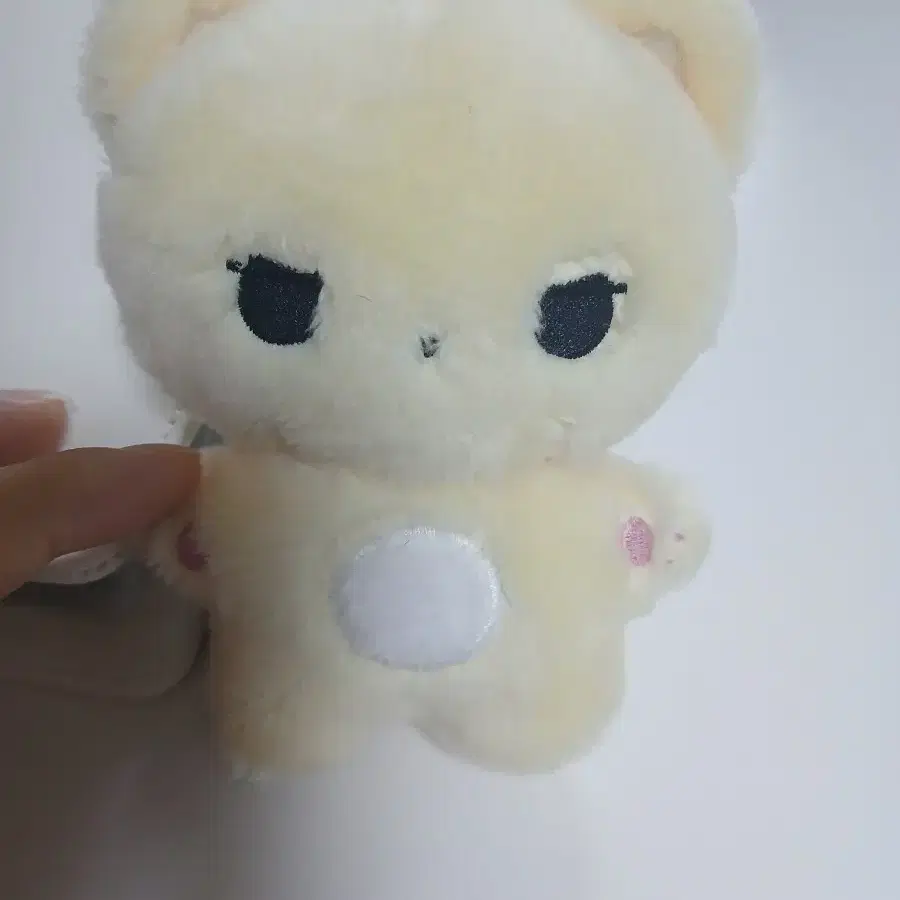 코토냥 인형(코토코)