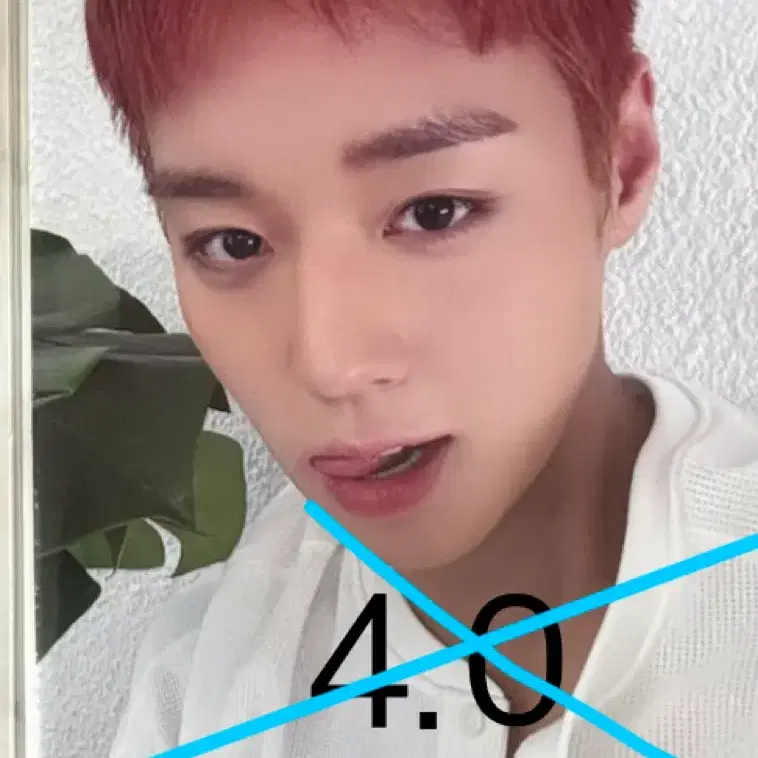 박지훈 케이팝투게더 포카