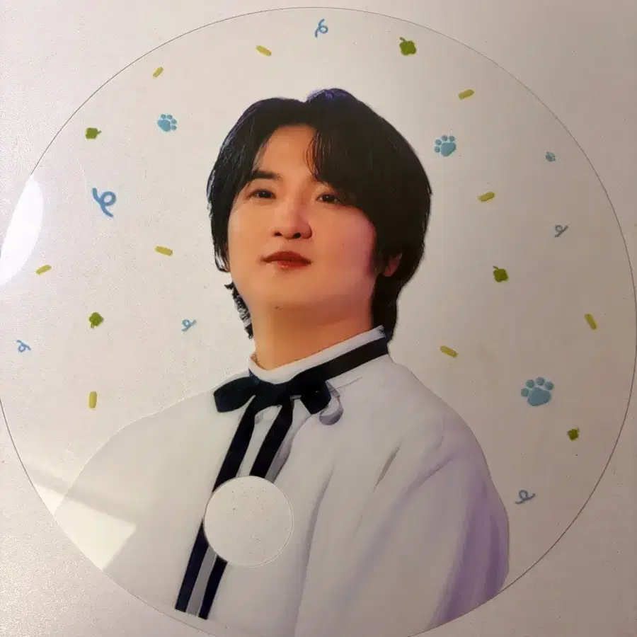 루시 신광일 부채
