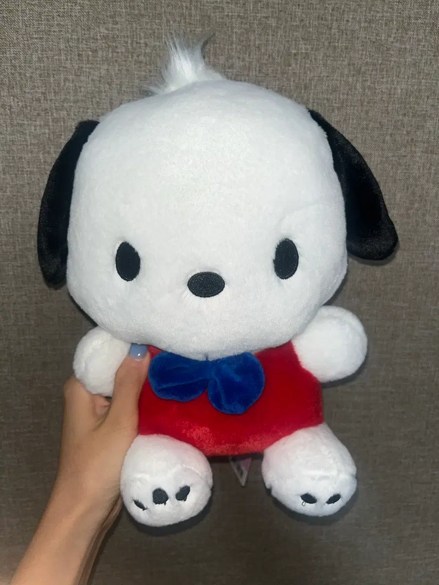 산리오 포차코 인형