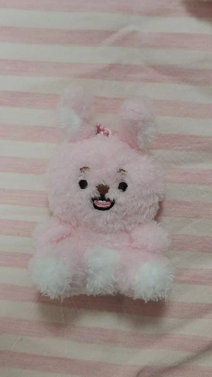 데이식스 데니멀즈 필 앉은ver