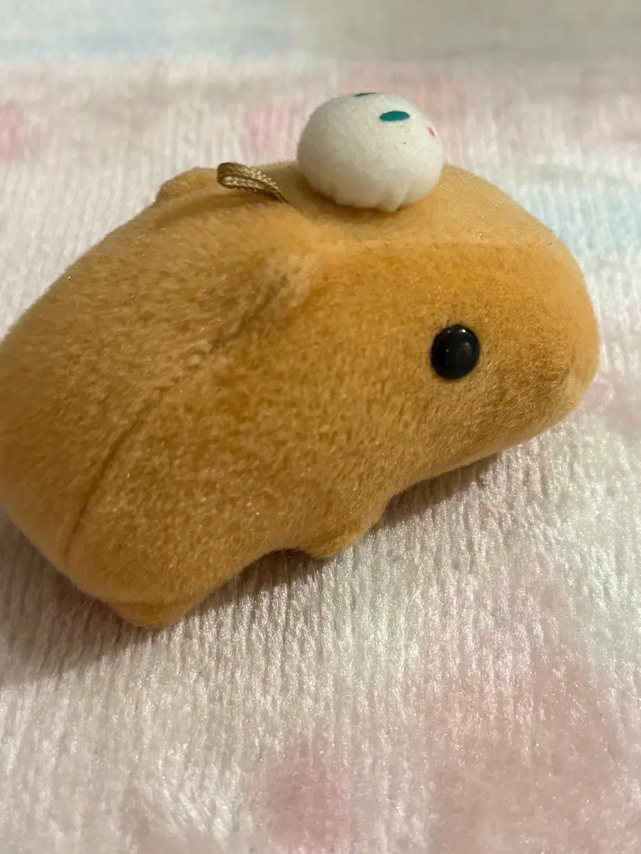 눈토끼 카피바라상 인형