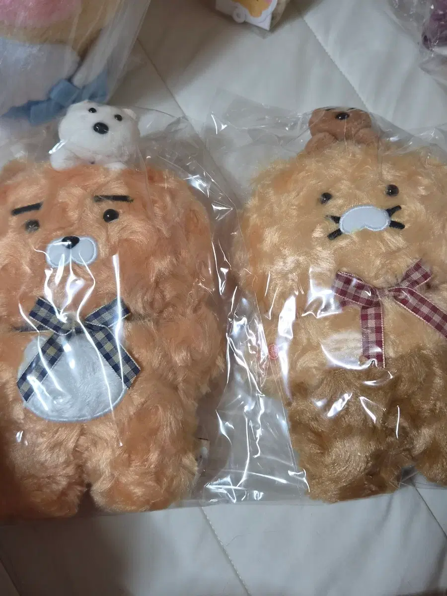춘식이 포레스트 셋트