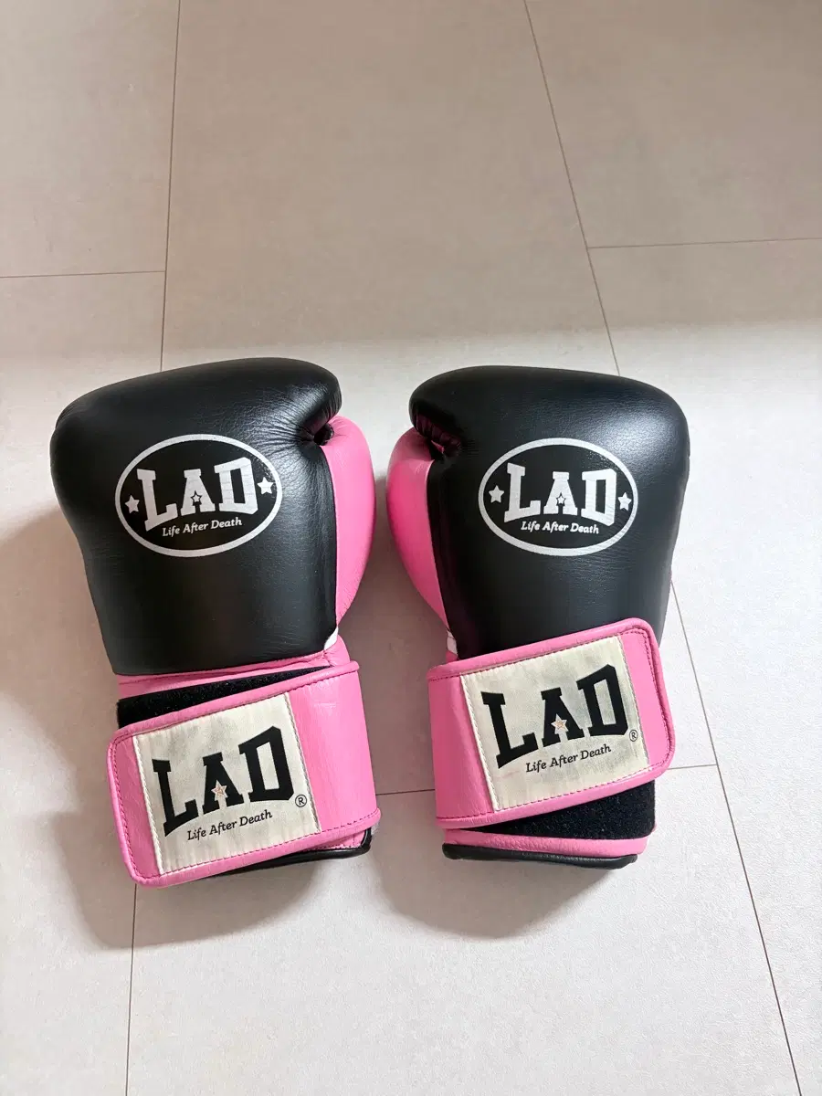 라드 글러브 LAD FLOW - X 12OZ