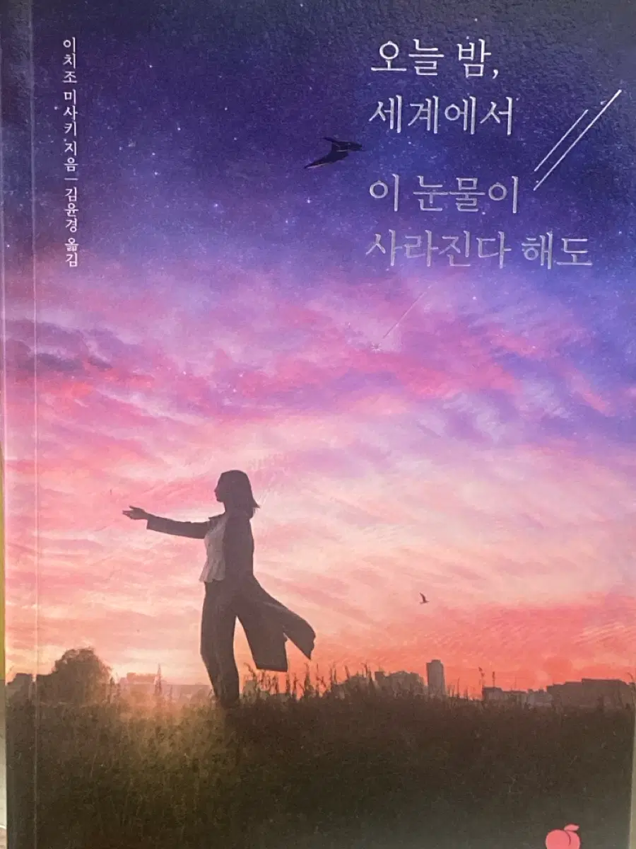 오늘 밤, 세계에서 이 눈물이 사라진다 해도