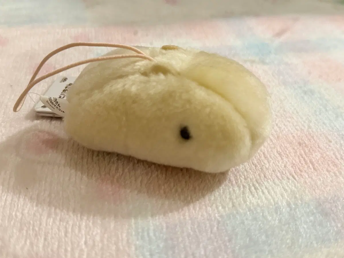 화이트상 카피바라상 인형