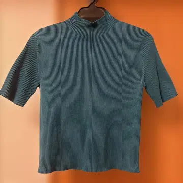 CFCL PORTRAIT SHORT SLEEVE TOP 블루그린