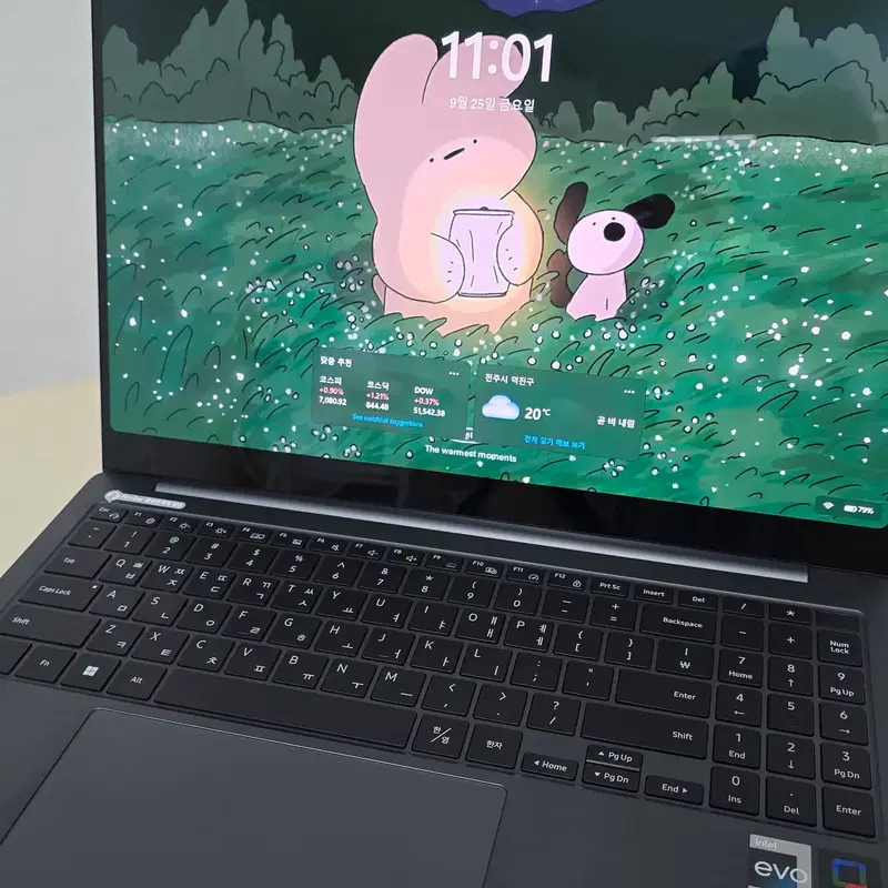 갤럭시북3 Pro 16 NT960XFG-K71AG / i7-1360P / 16GB / 512GB