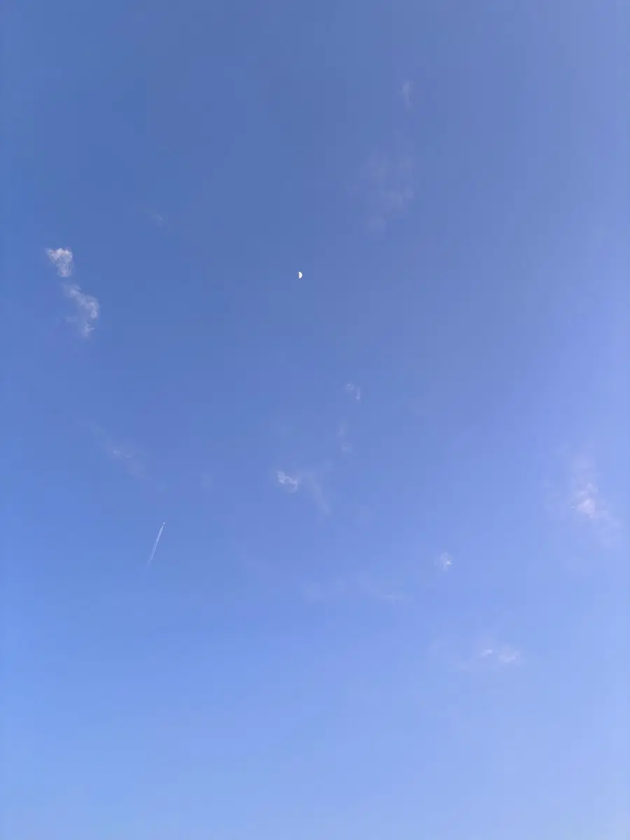 최솔 소장본,회지 글 구해요