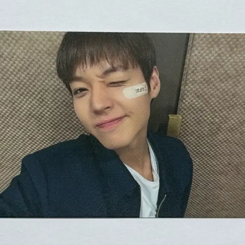 박지훈 가로본능 미공포 포카 위드뮤 영통팬싸