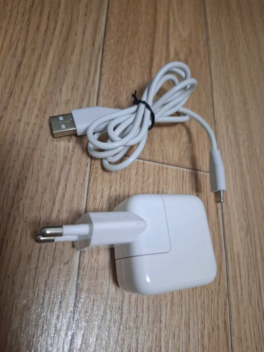 애플 정품 12W USB 충전기