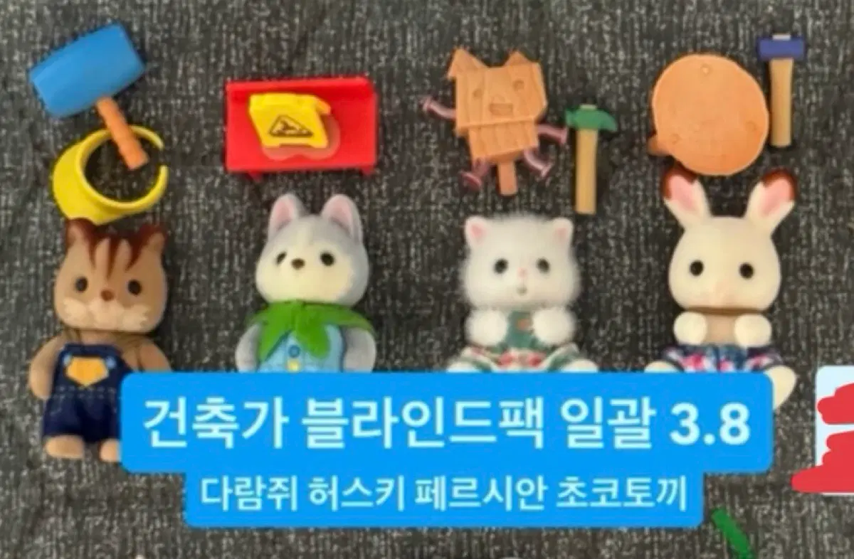 실바니안 건축가 블라인드팩 다람쥐 허스키 페르시안 고양이 초코 토끼 개봉 일괄
