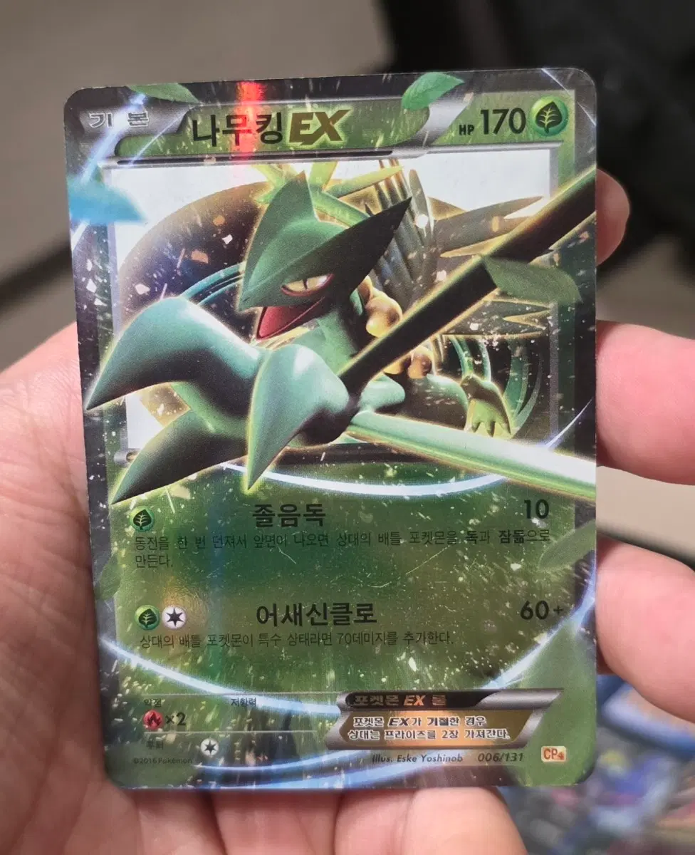포켓몬 카드 나무킹 EX CP4