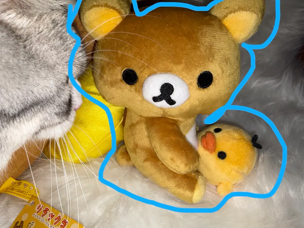부르르 키이로이토리 리락쿠마