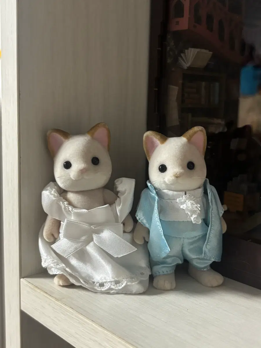 실바니랑