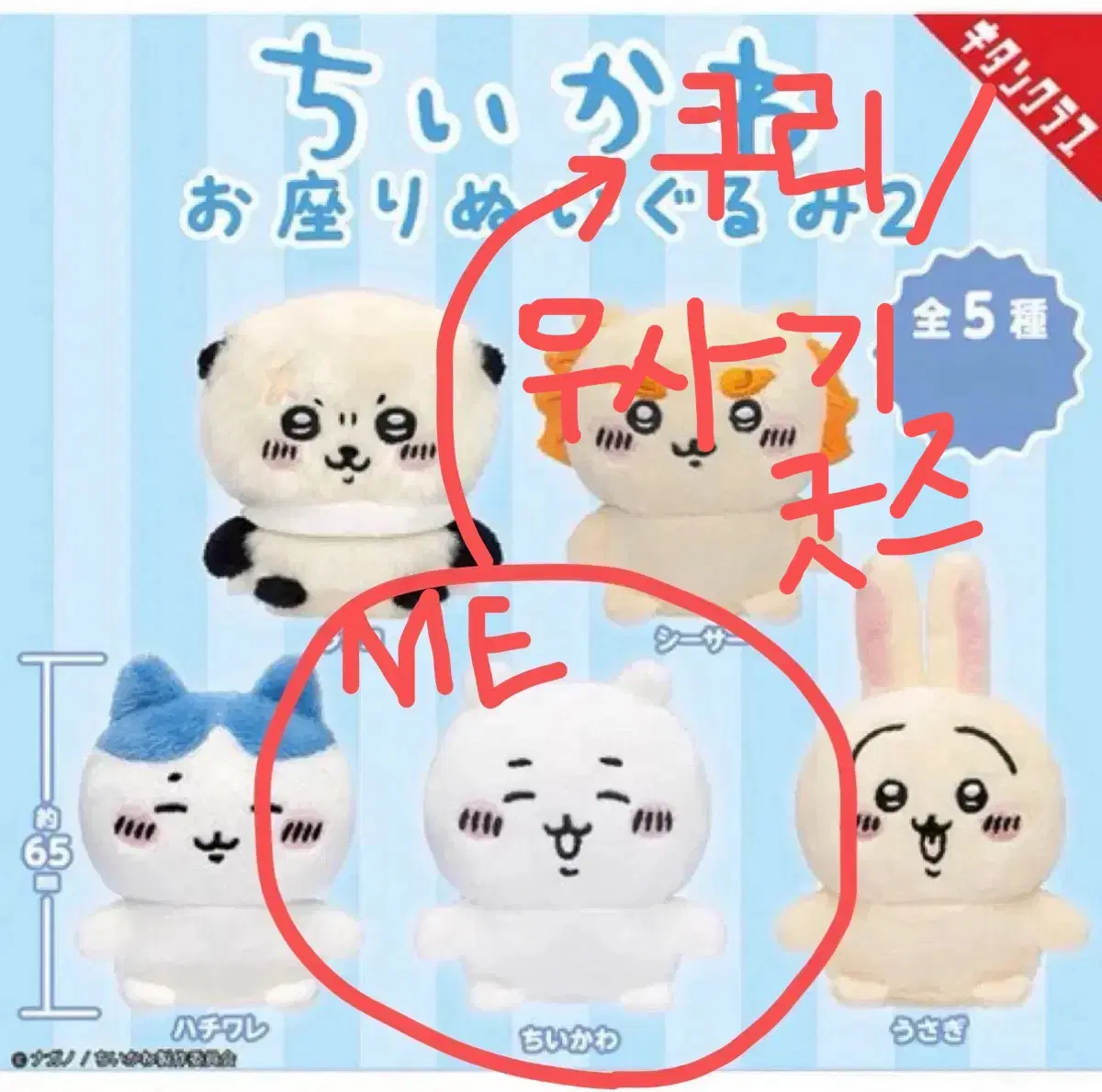 (교환) 쿠리/우사기구함 - 치이카와 앉은누이 구버전 2탄 치이카와 가챠