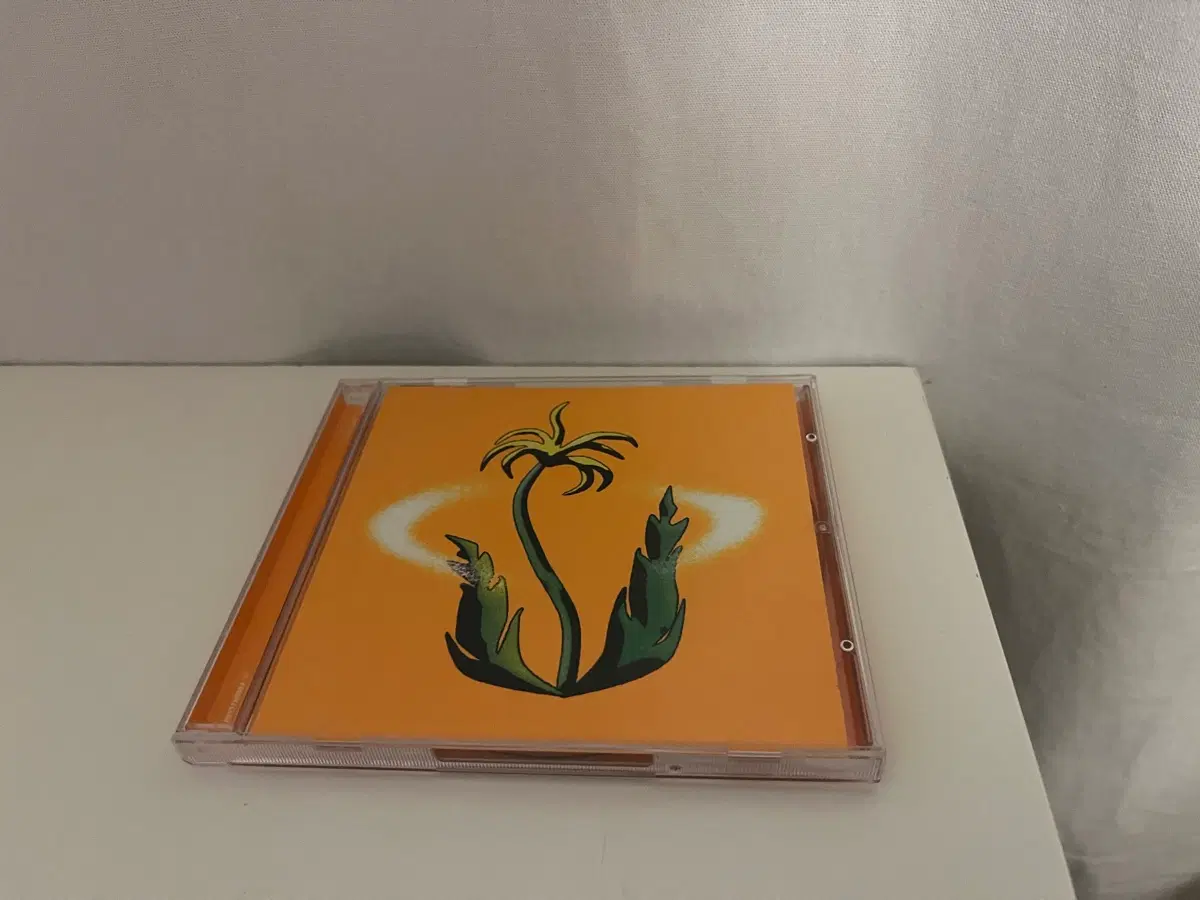 발룬티어스 tvt 뉴플랜트 new plant 씨디 cd