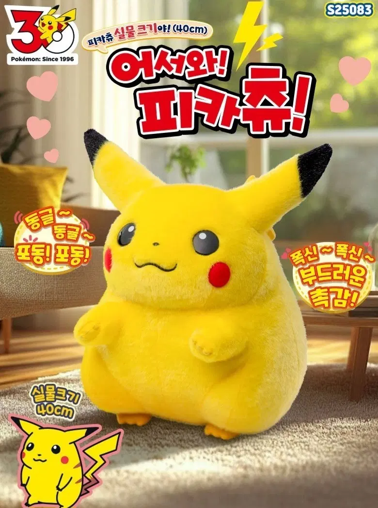 포켓몬 30주년 어서와 피카츄 뚱카츄