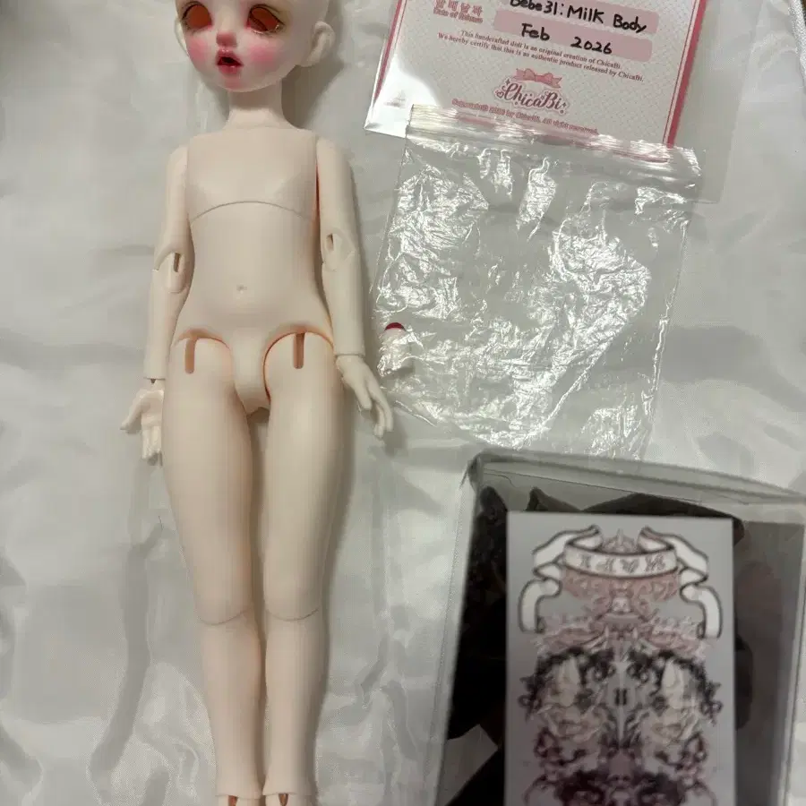 나피돌 캐롤 본체 판