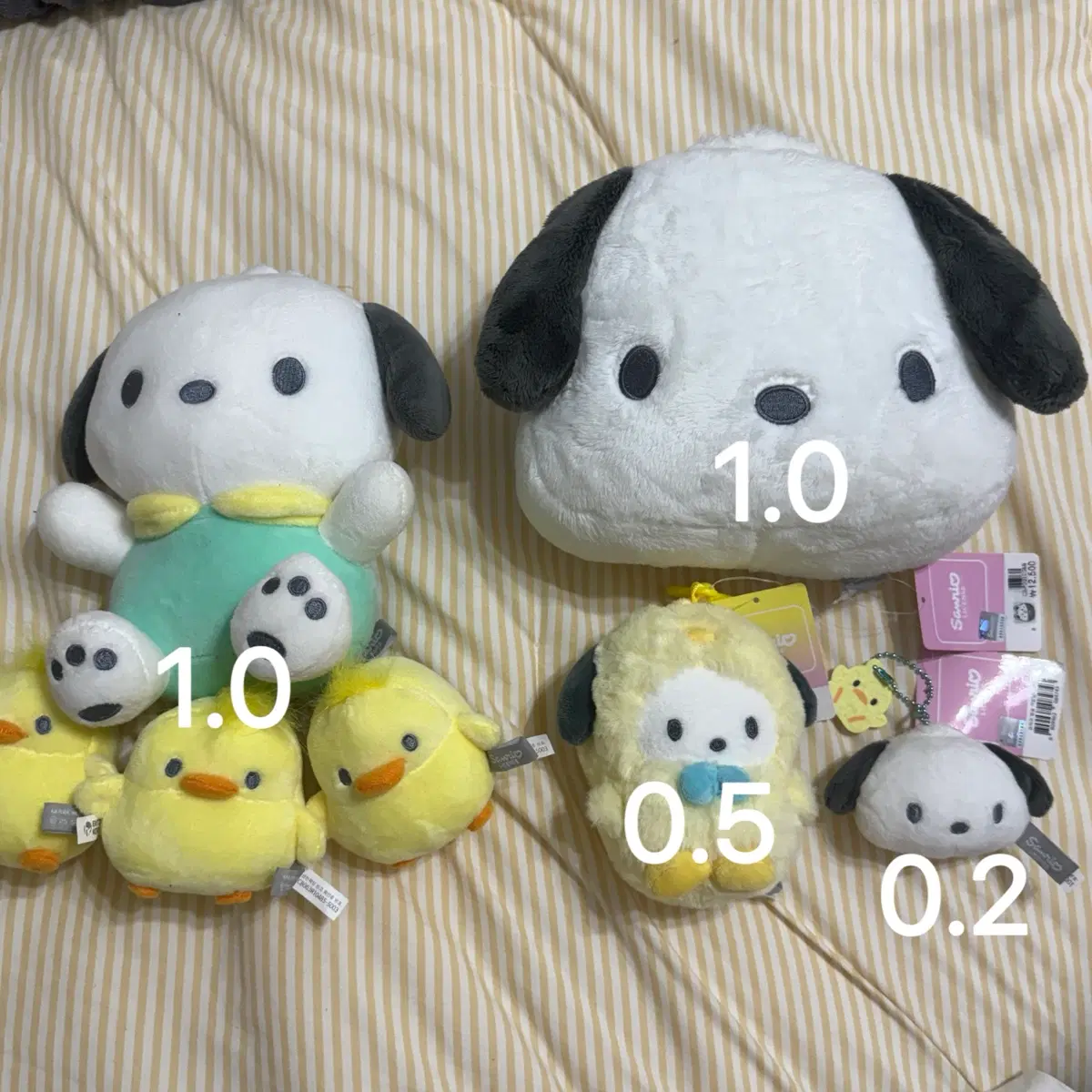 산리오 포챠코 인형