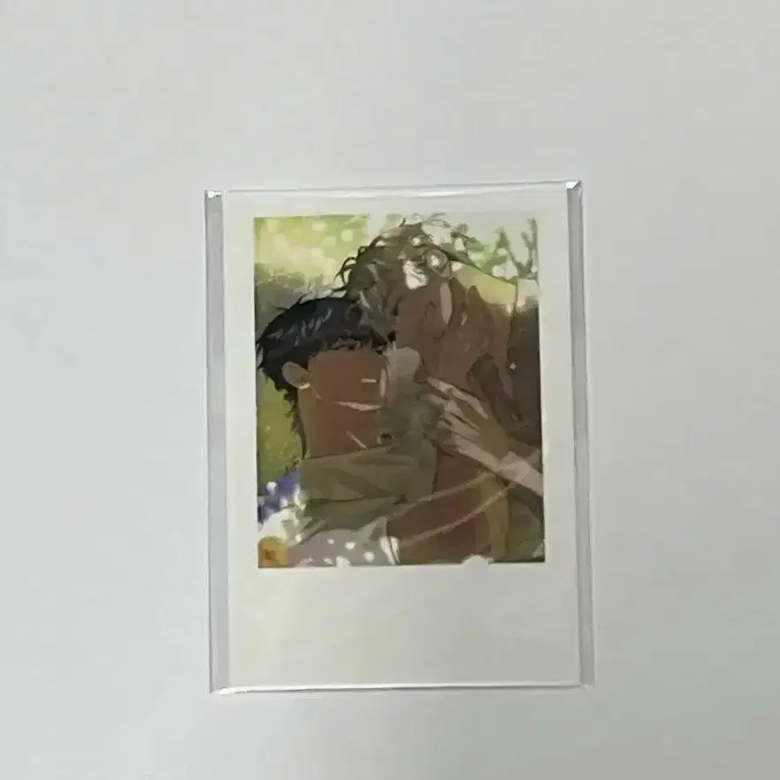 녹티아 패션 유우지 폴리즈 인형 폴라로이드