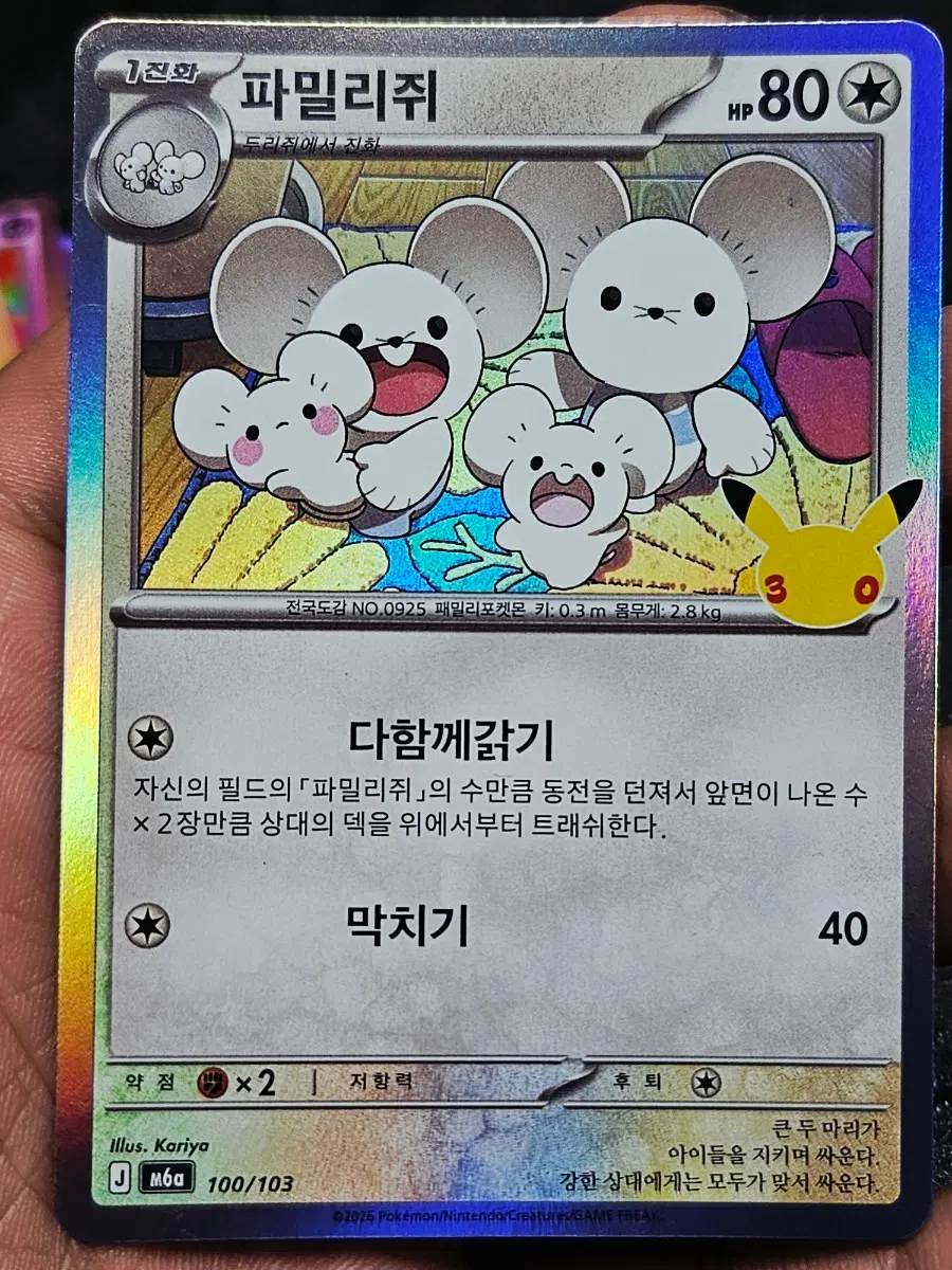 포켓몬 30주년 카드 파밀리쥐