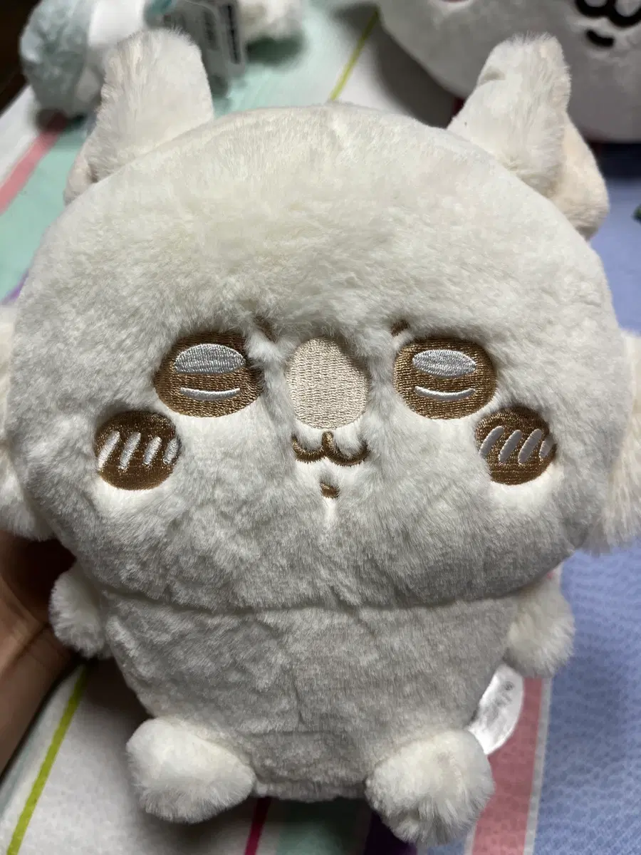 모몽가 밀크 누이