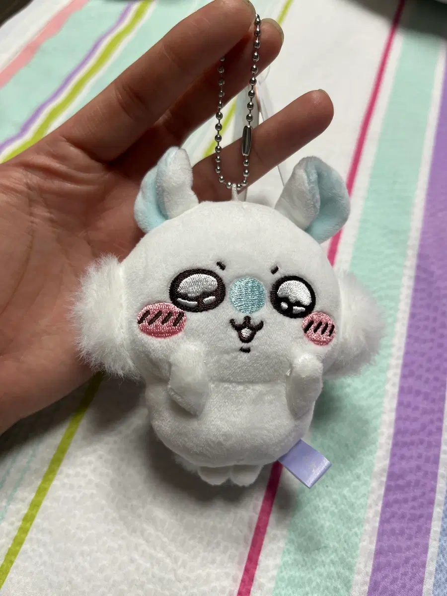 모몽가 e상