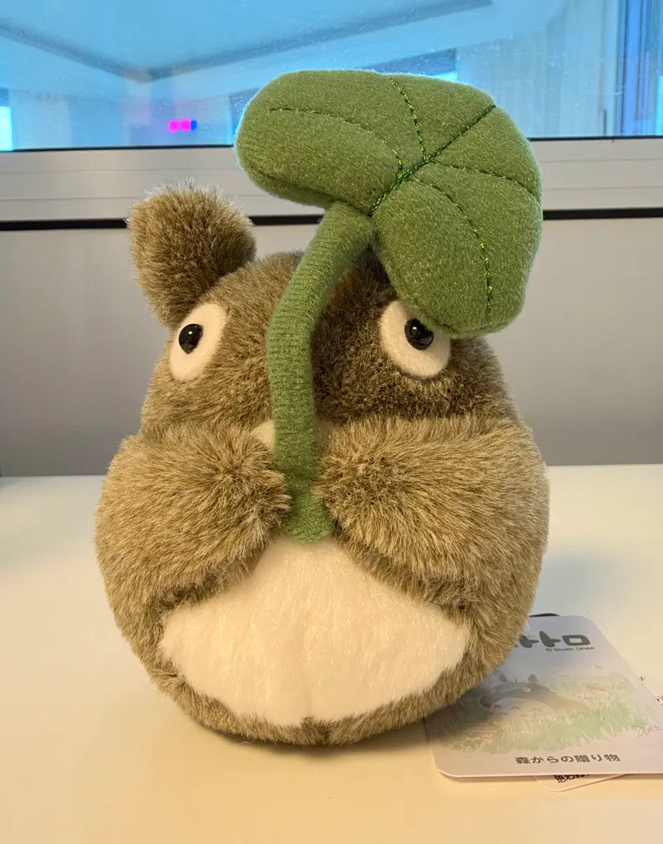 지브리 정품 대토토로 나뭇잎 손바닥 인형