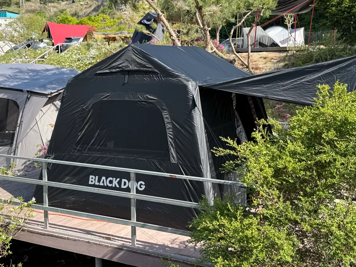 black dog 에어 텐트