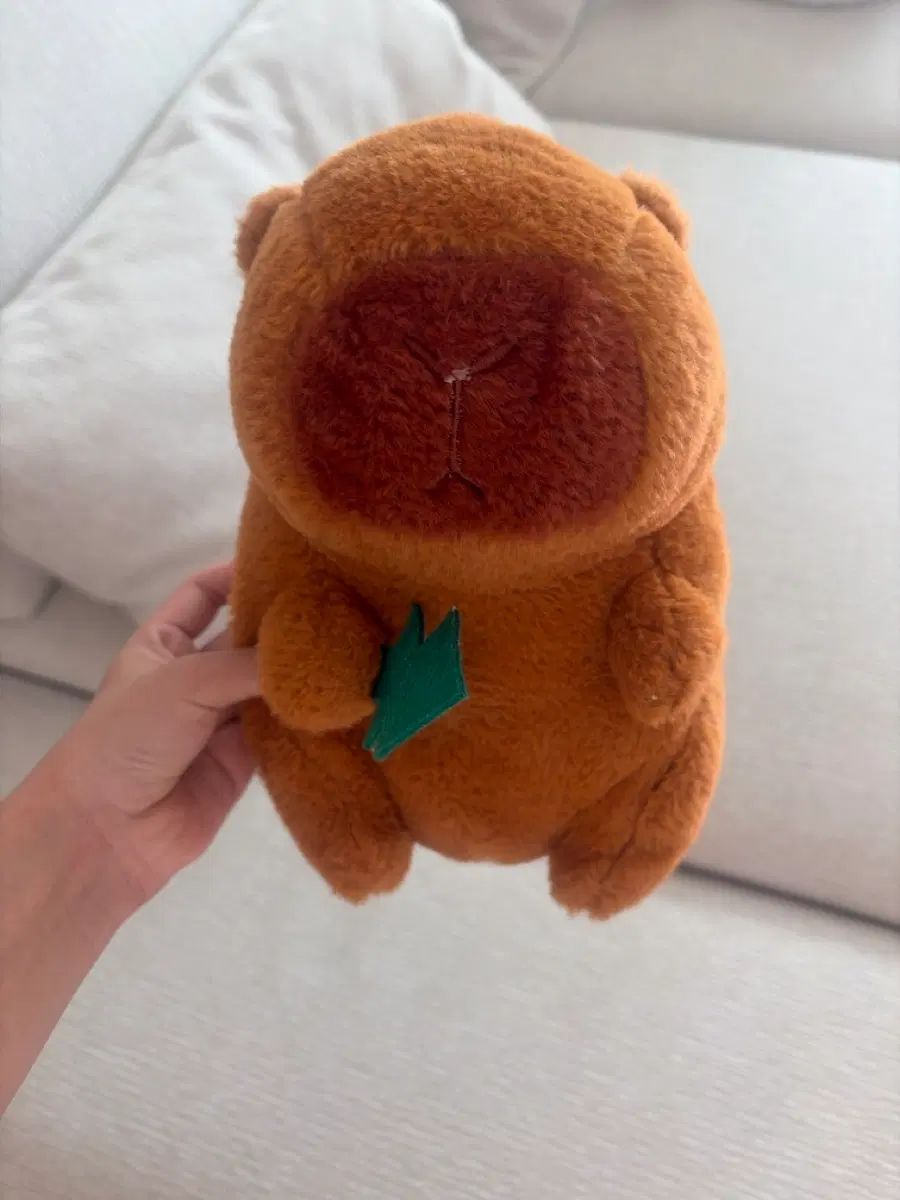 카피바라 인형