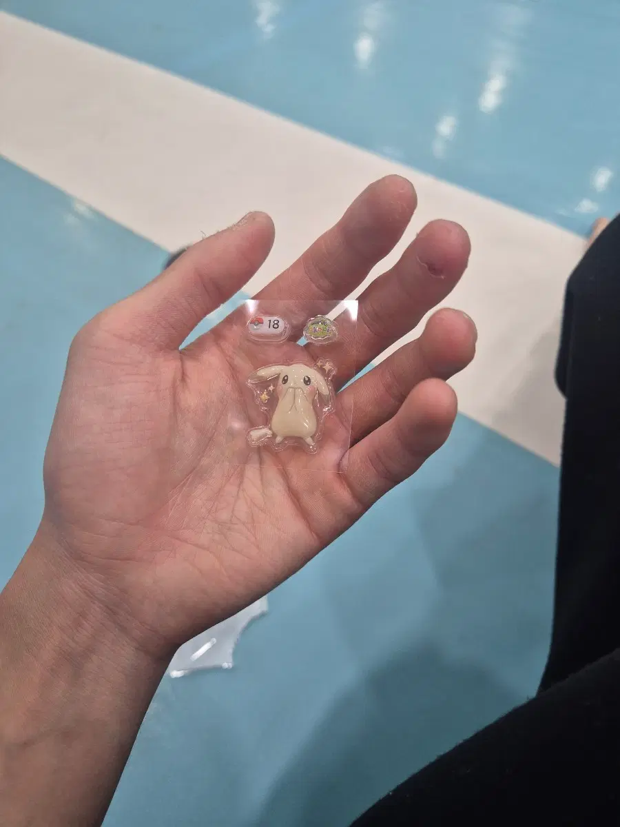 피카츄띠부실