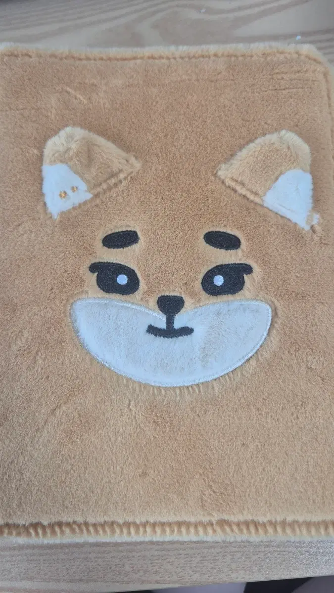 데이식스 케 바인더 판매