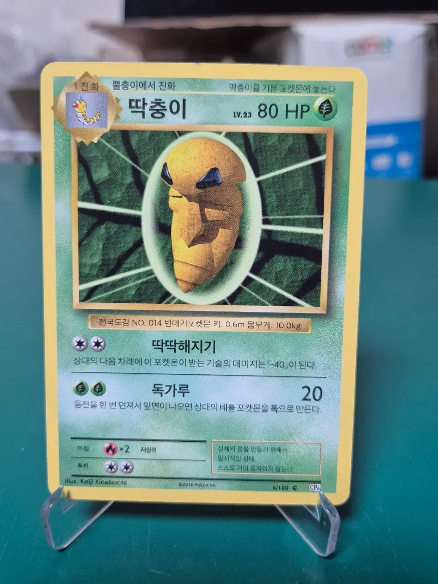딱충이 20주년 cp6 포켓몬카드