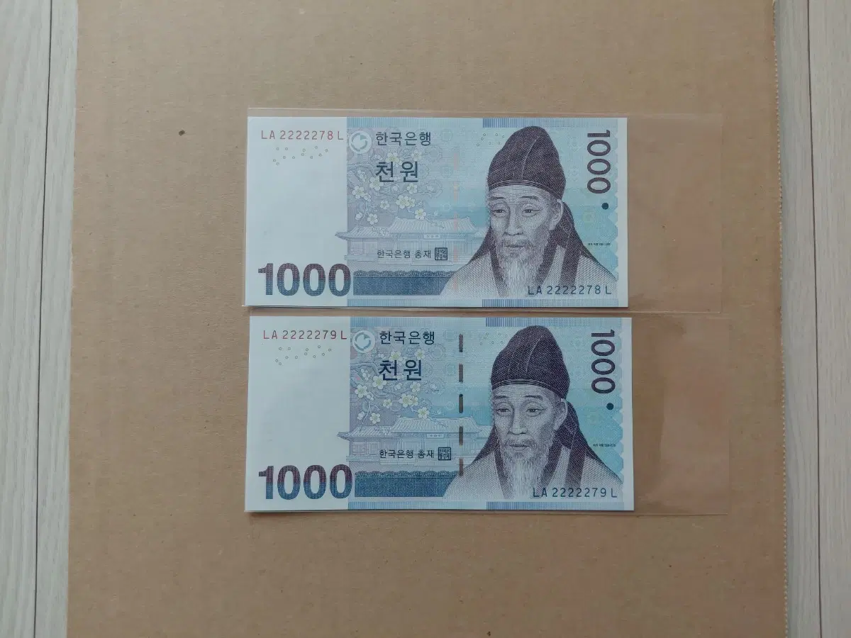 특이 연결 번호 (2종) 오리지널 [파이브카]