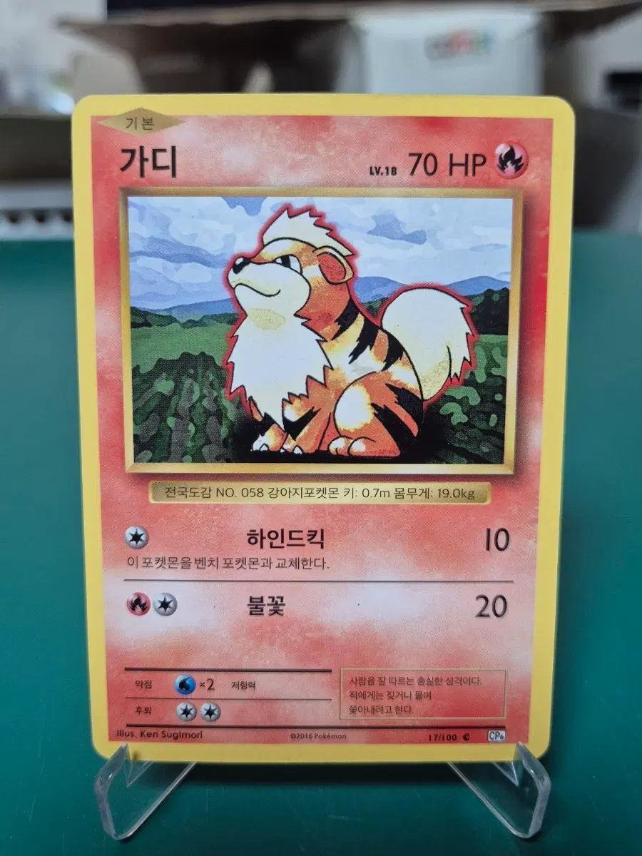 가디 20주년 cp6 포켓몬카드