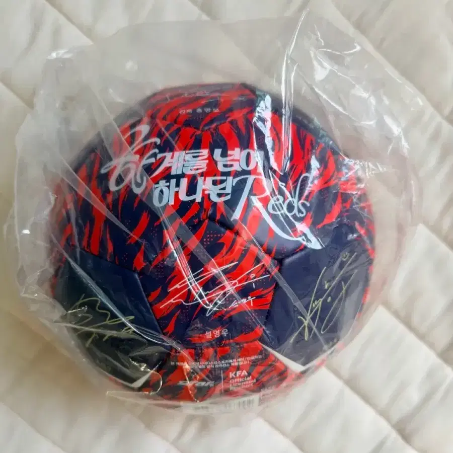 베이스캠프 팝업 축구 대한민국 국가대표팀 사인볼 / KFA 이강인 손흥민 백승호 설영우 황희찬 조규성