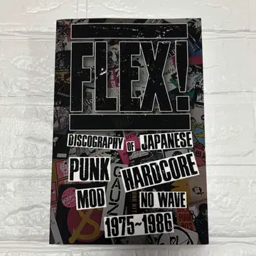 외국도서 FLEX! DISCOGRAPHY JAPANESE PUNK