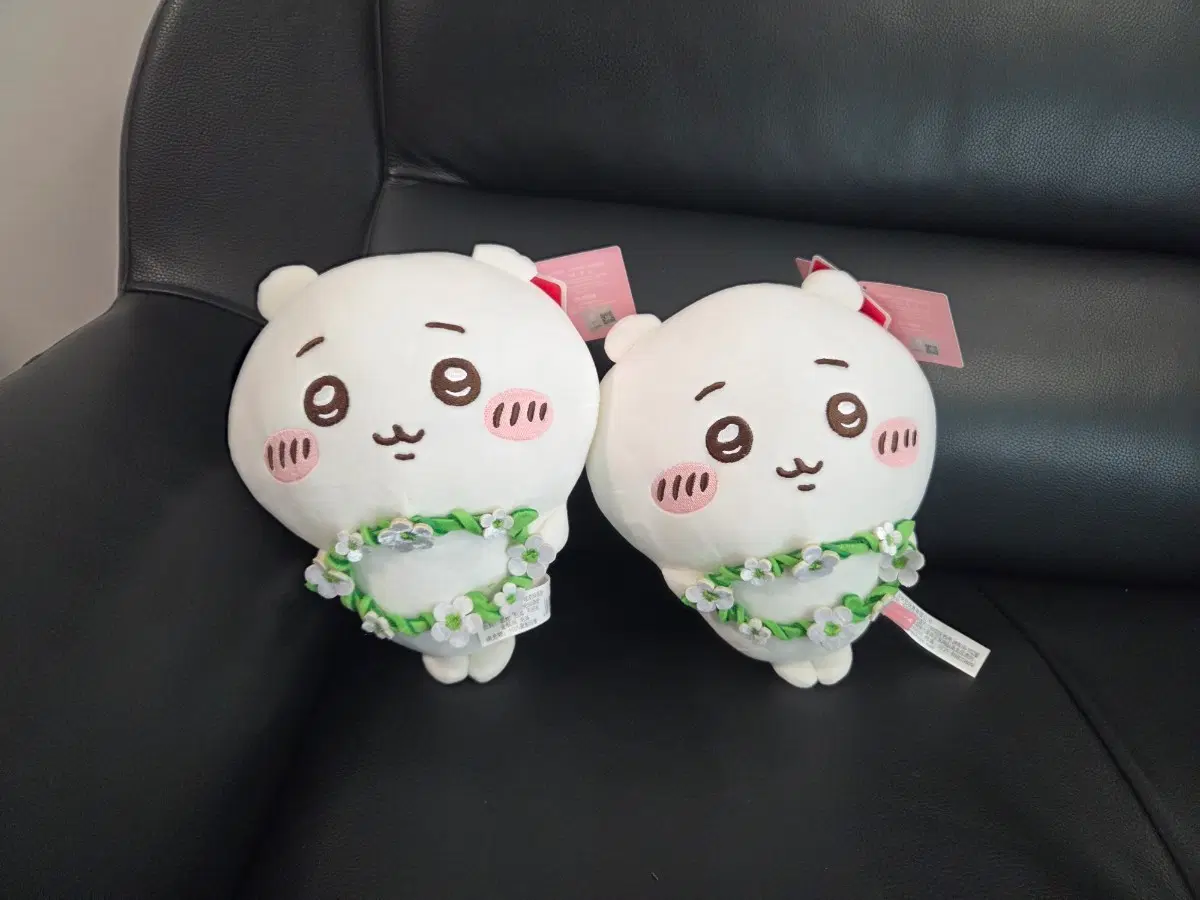 치이카와 중형인형 2개