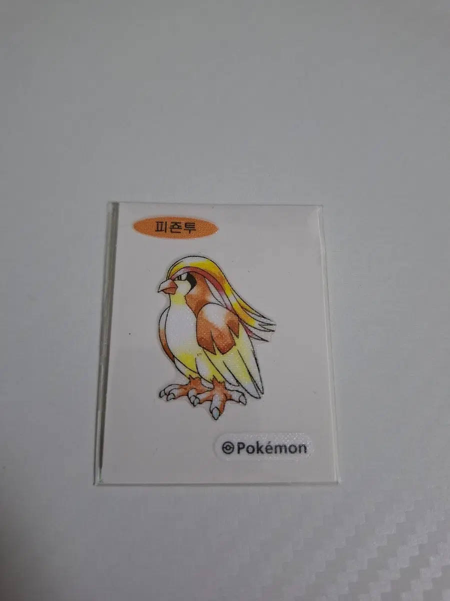 포켓몬 띠부씰 아트워크 피죤투