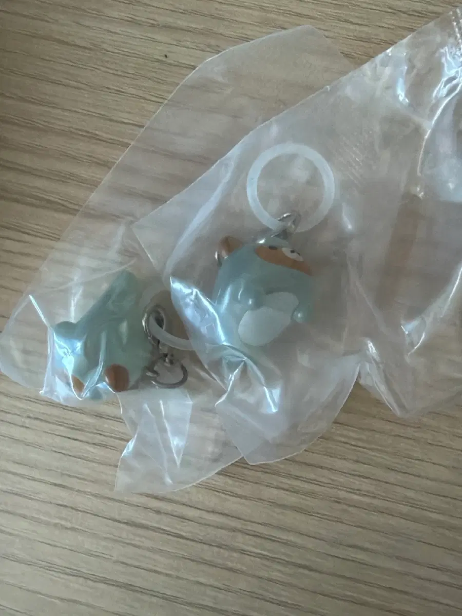 리락쿠마 해양생물 가챠 상어 메지루시 메지루시 판매합니다