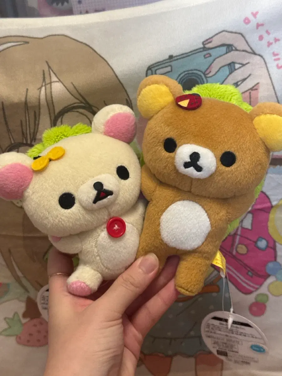 리락쿠마 코리락쿠마 마리모 고전 인형 세트