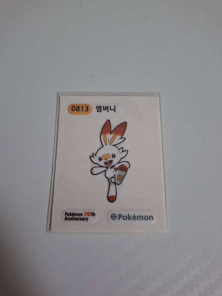 포켓몬 2026 시즌5 띠부씰 0813 염버니