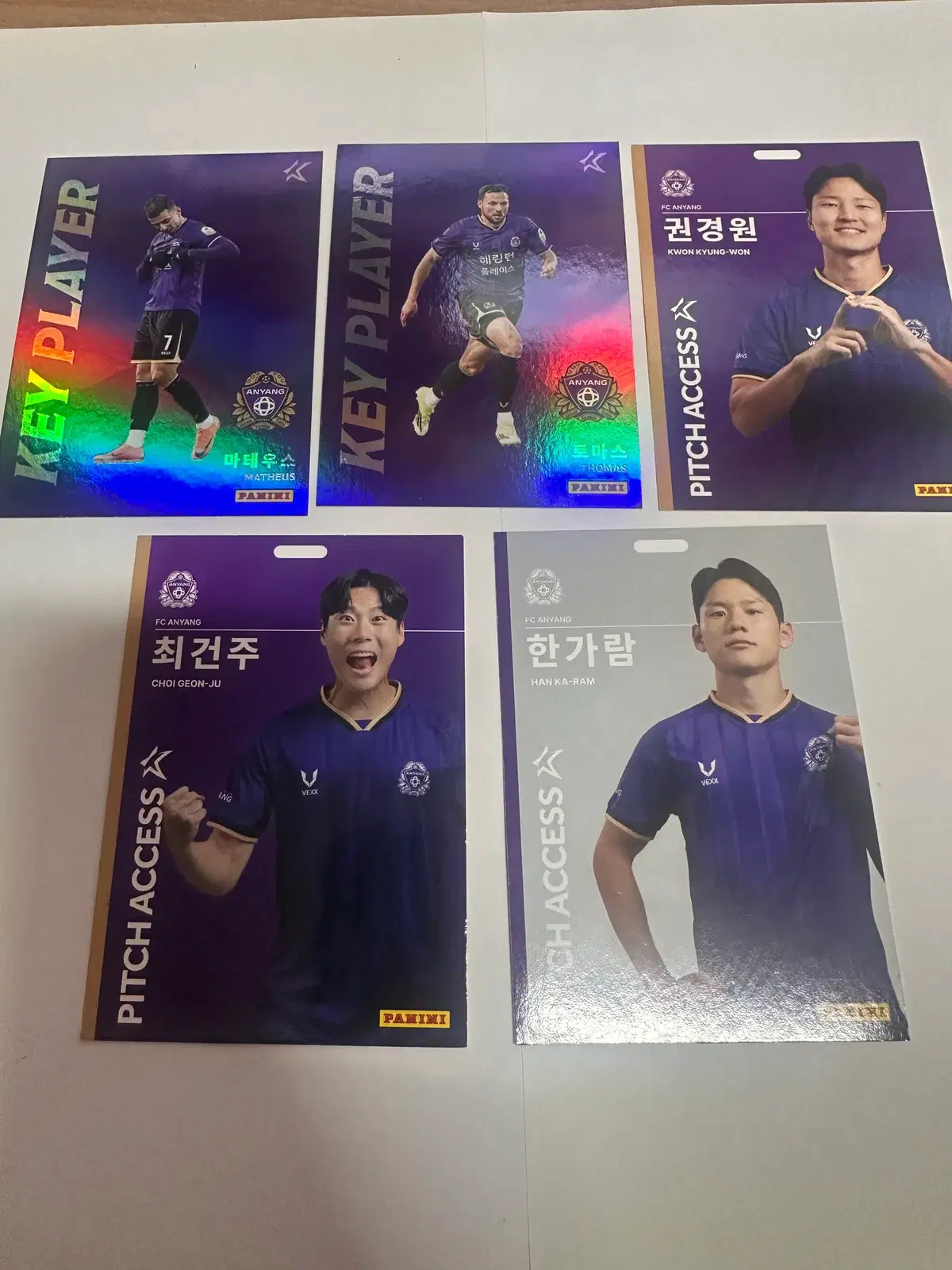 2026 K리그 파니니 (FC안양)
